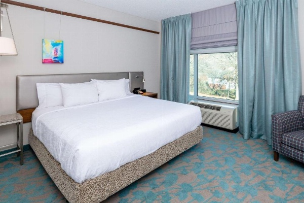 Hilton Garden Inn Asheville Downtown image 15